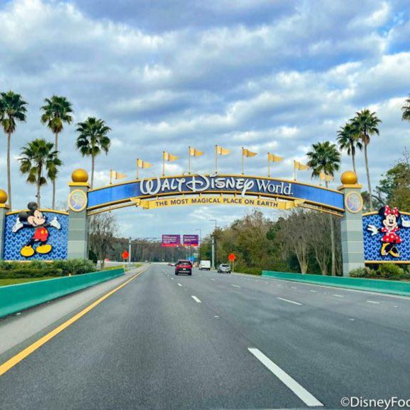 Meet your Posher, Lianne - Picture 5 of 5